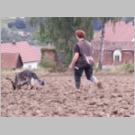 macht Fortschritte....JPG